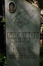 Бобоюдо Ася , Москва, Востряковское кладбище